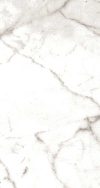 Calacatta Honed Designed
