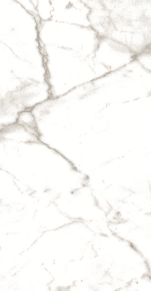 Calacatta Honed Designed