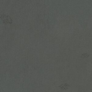 Coal Grip 20mm Bluestone Look Porcelain Tile
