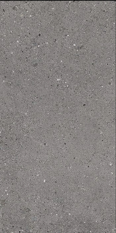 Charcoal Matt Aggregate Look Porcelian Tile