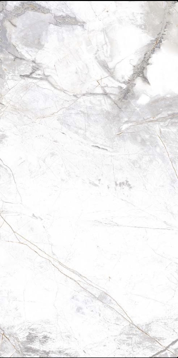 Antartic Matt Marble Look Porcelain Tile