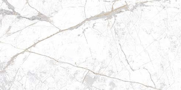 Antartic Matt Marble Look Porcelain Tile
