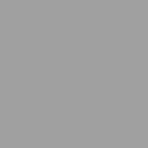 Grey Beige Gloss Spectum