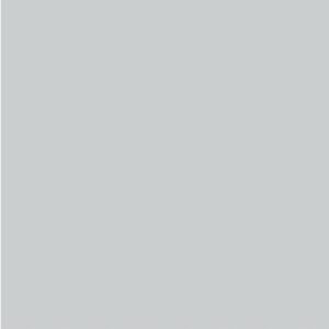 Light Grey Gloss Spectrum