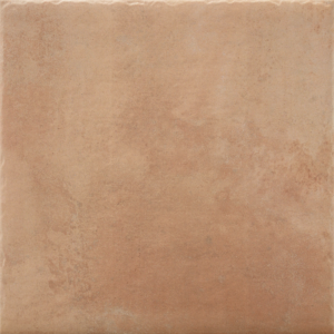Terracotta Look in/Out Tile