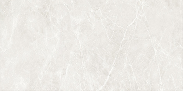 Light Grey Matt Porcelain Tile