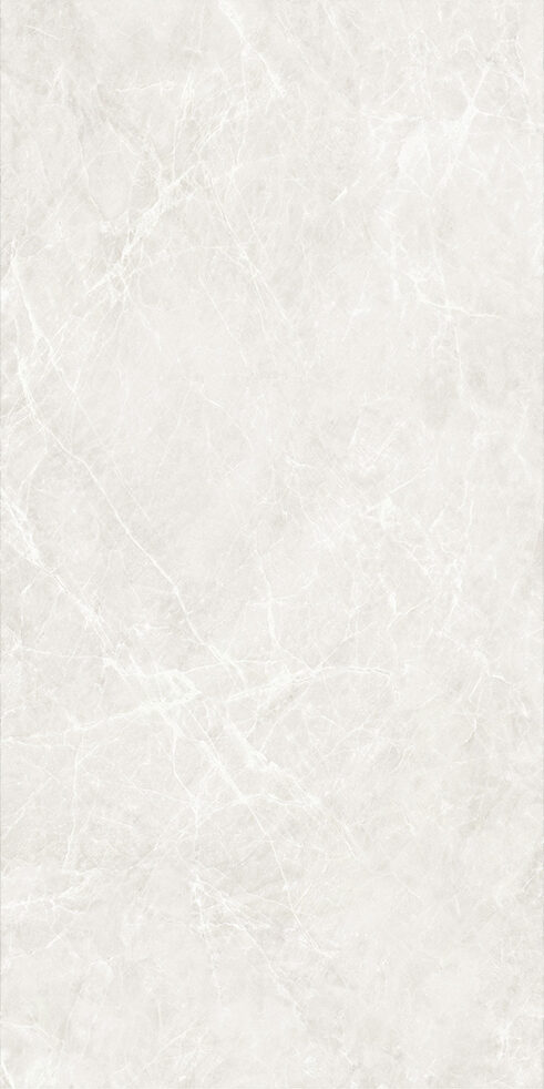 Light Grey Matt Porcelain Tile