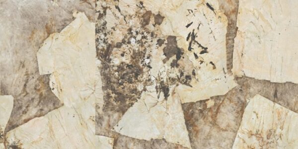 Desert Soul Gloss Marble Look Porcelain Tile