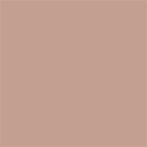 Light Brown Matt Tile