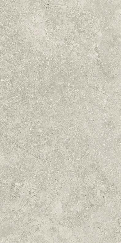 Greige in Out Natural Stone Look Porcelain Tile