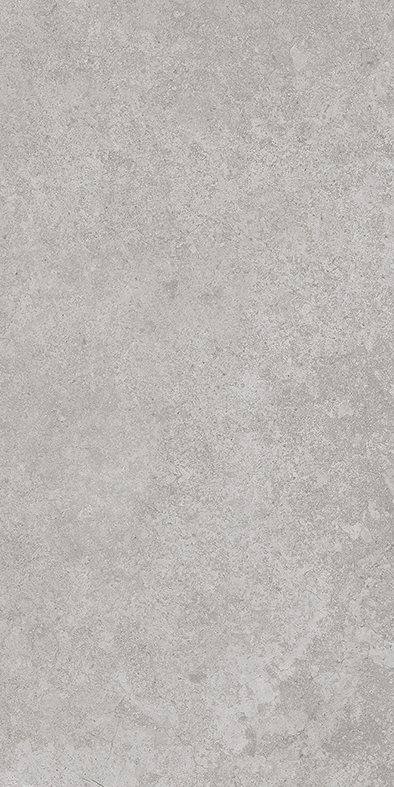 Grey in Out Natural Stone Look Porcelain Tile