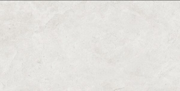 Light Grey in Out Marble Look Porcelian Tile