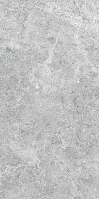 Grey in Out Natural Stone Look Porcelain Tile