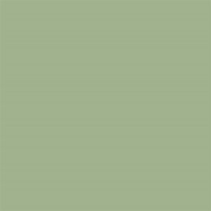 Light Green Matt Spectrum