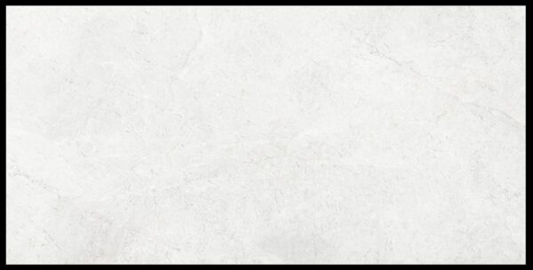 Light Grey in/Out Finish Stone Look Porcelain Tile