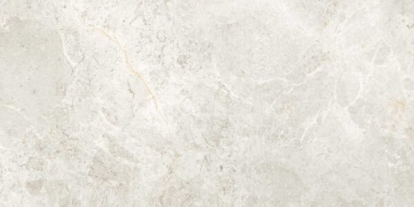 Light Grey Matt Stone Look Porcelain Tile
