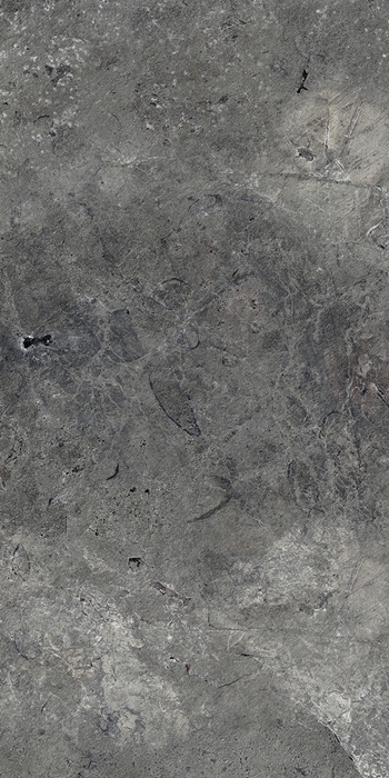 Dark Grey Matt Natural Stone Look Porcelain Tile