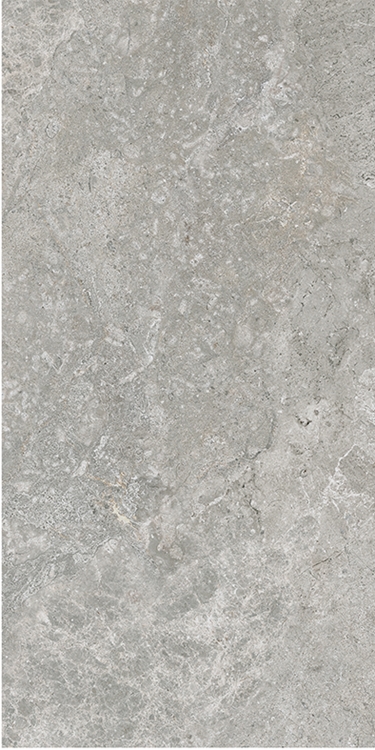 Grey Matt Tundra Look Porcelain Tile