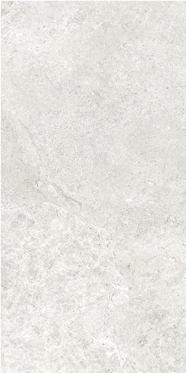 Light Grey Matt Tundra Look Porcelain Tile