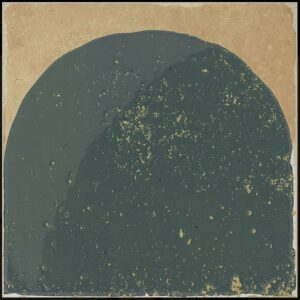Green Matt Decor on Terracotta Look Matt Porcelain Tile