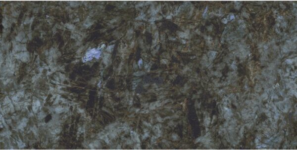 Baobab Green Black Polished Porcelain Tile