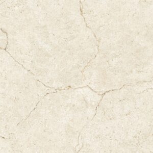 Cream Honed Crema Marfil Look
