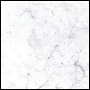 Carrara Venatino Honed Marble Look Elegant Porcelain Tile