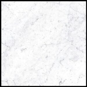 Carrara Venatino Honed Marble Look Elegant Porcelain Tile