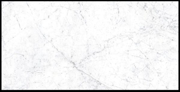 Carrara Venatino Honed Marble Look Elegant Porcelain Tile