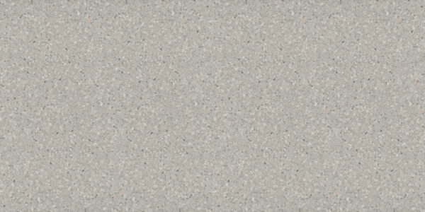 Shale Grip Quartzite