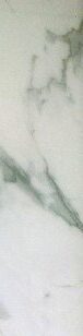 Statuario Venato Polished Subway Elegant