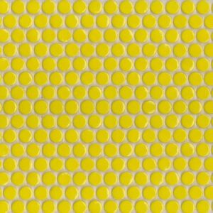 Wattle Gloss Penny Round