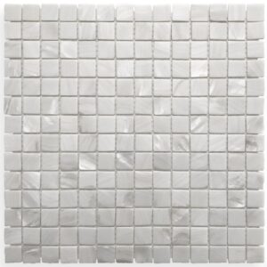 White Gloss Concha Mother of Pearl