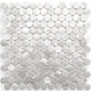 White Gloss Penny Concha Mother of Pearl