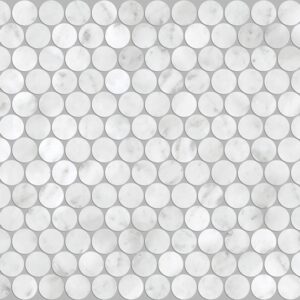 Carrara Honed Marble Pennyround Geolux