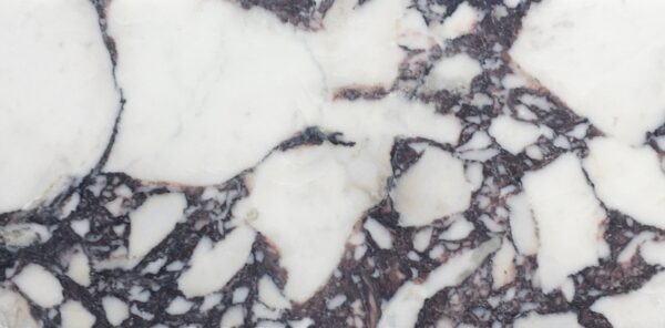 Calacatta Viola Honed Marble