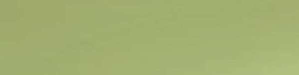 Lime Green Matt Petite Subway Ceramic Tile