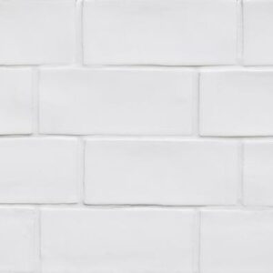 Lace White Matt Hampton Ceramic Tile