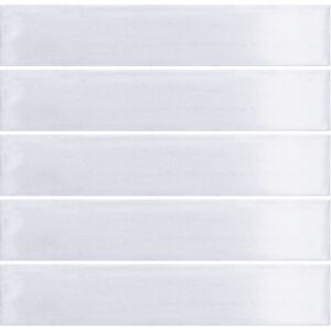 White Grey Gloss Subway Tile