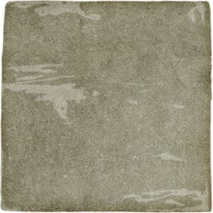 Spanish Olive Green Mix Gloss Concrete Look Pavilion Tetra