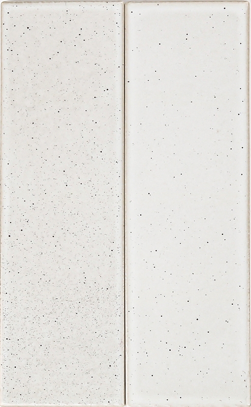 White Speckled Gloss Subway Tile
