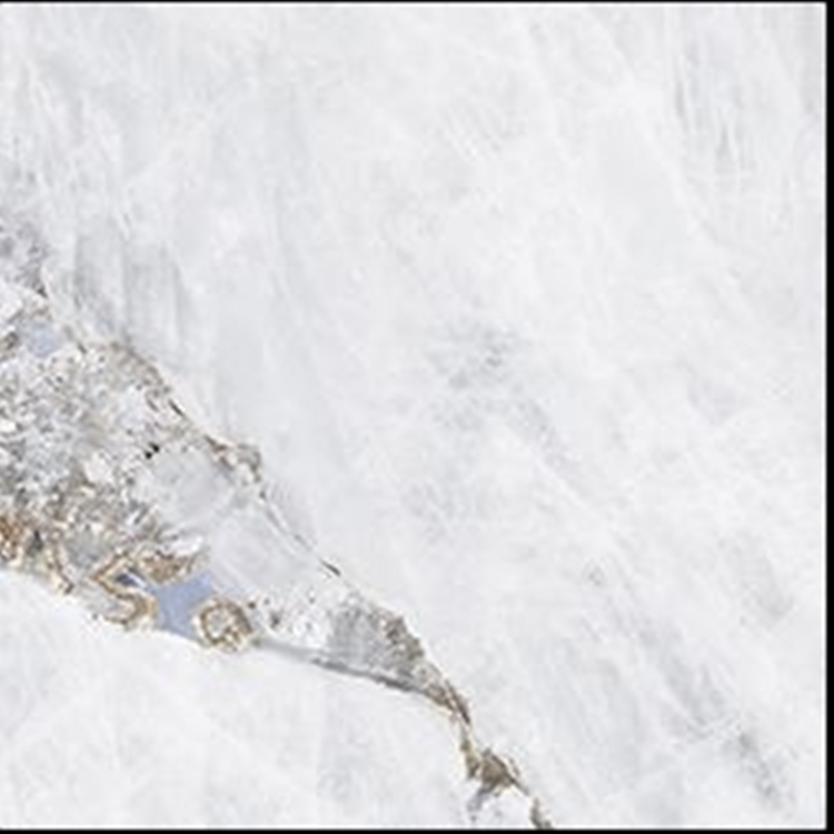 WHITE AND GREY MATT MARBLE STYLE PORCELAIN TILE