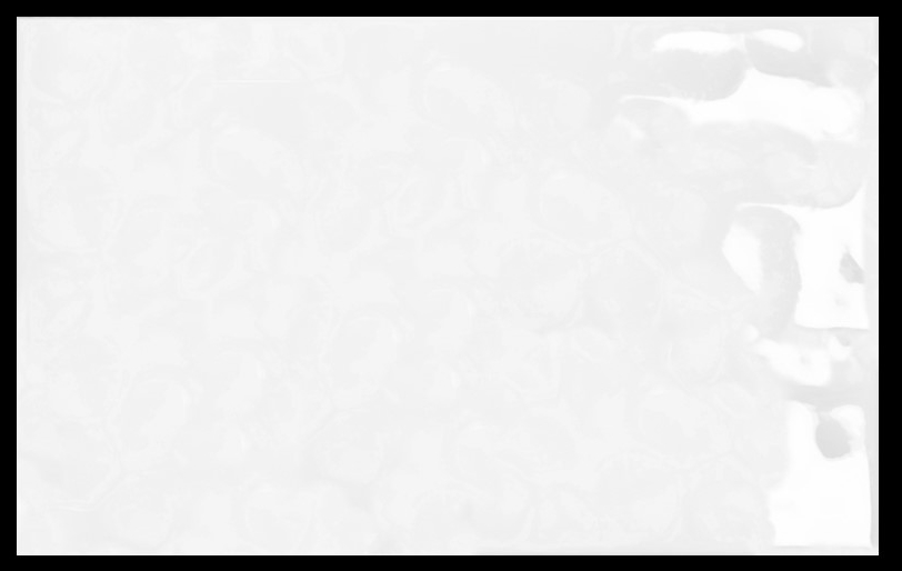 WHITE GLOSS RIPPLE WHITES TILE